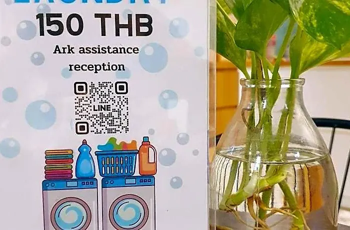 旅馆 库珀酒店 *